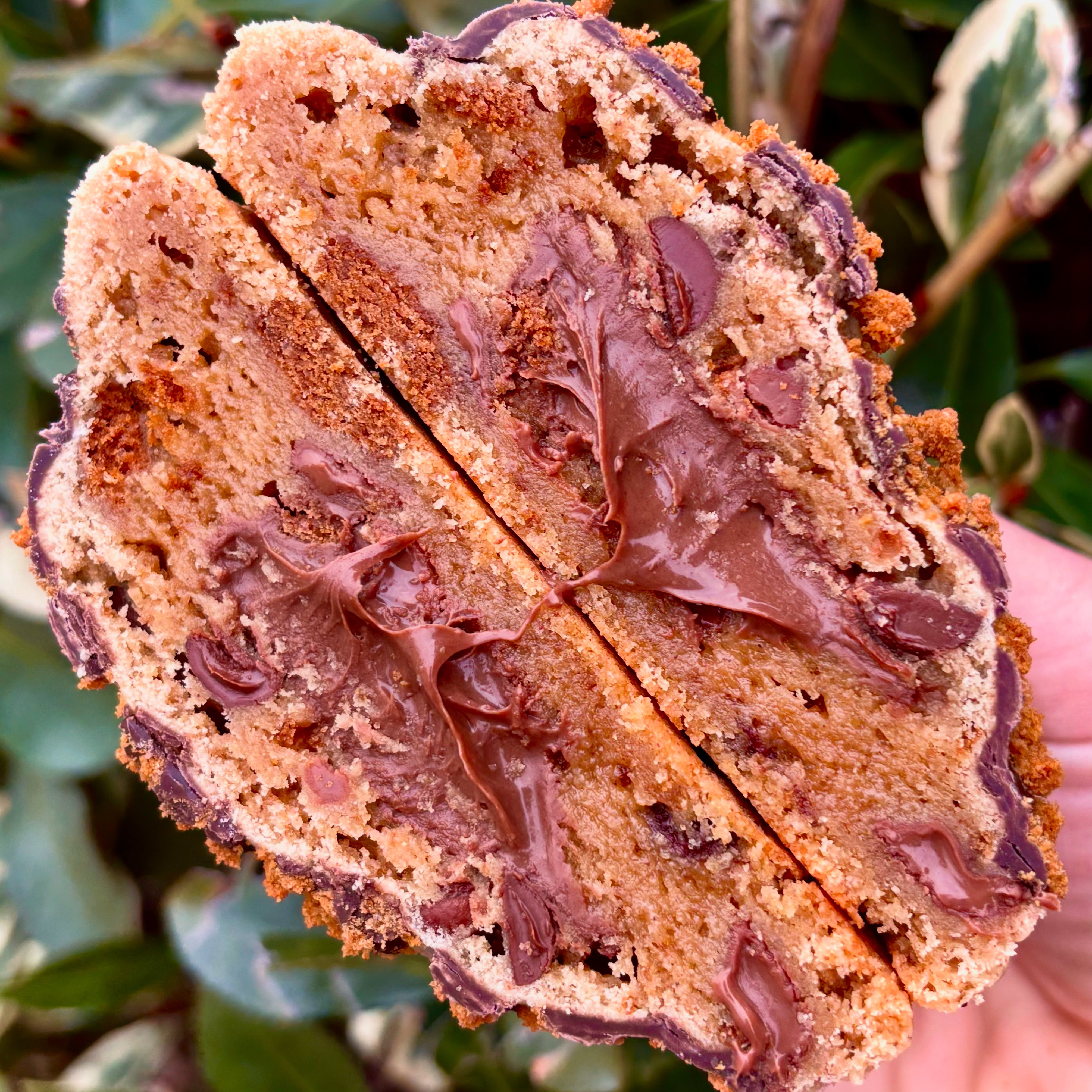 **BLACK FRIDAY ASSORTMENT**