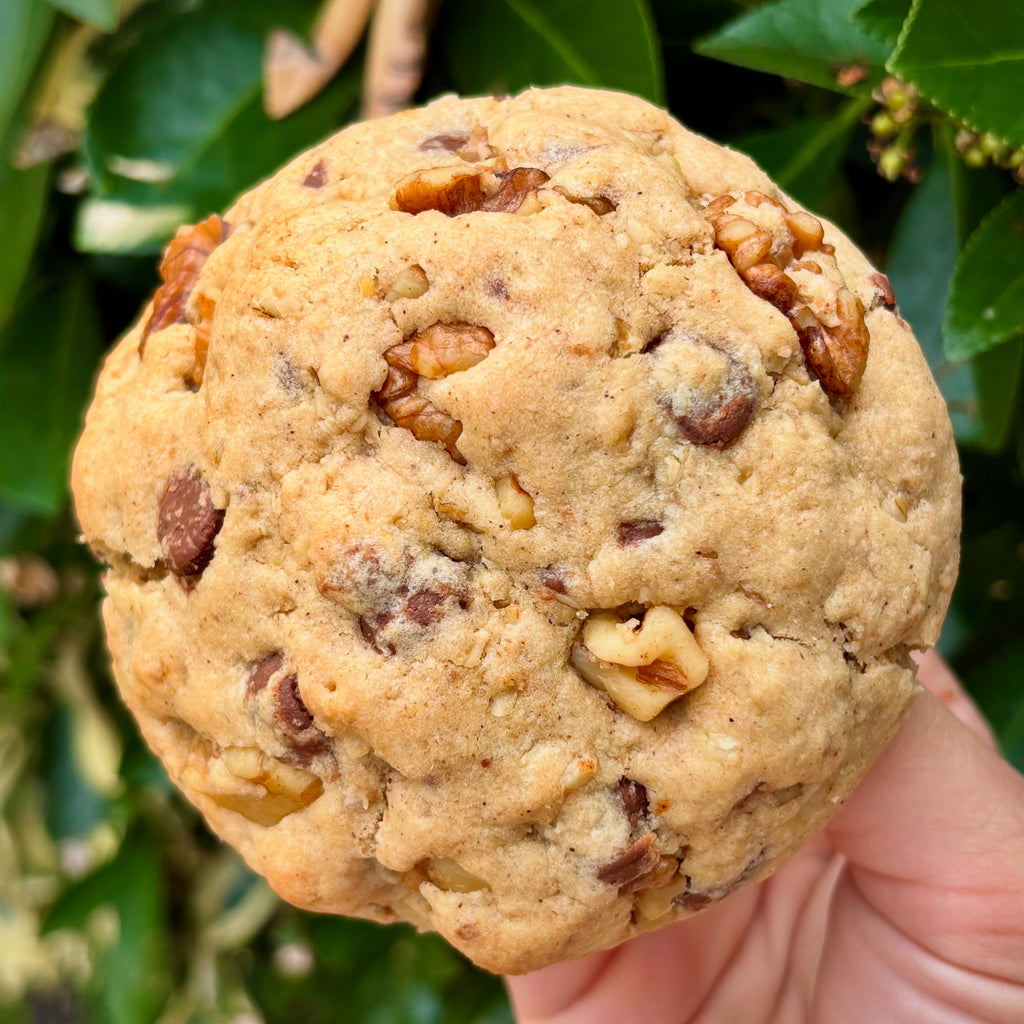 Oatmeal Walnut Chip