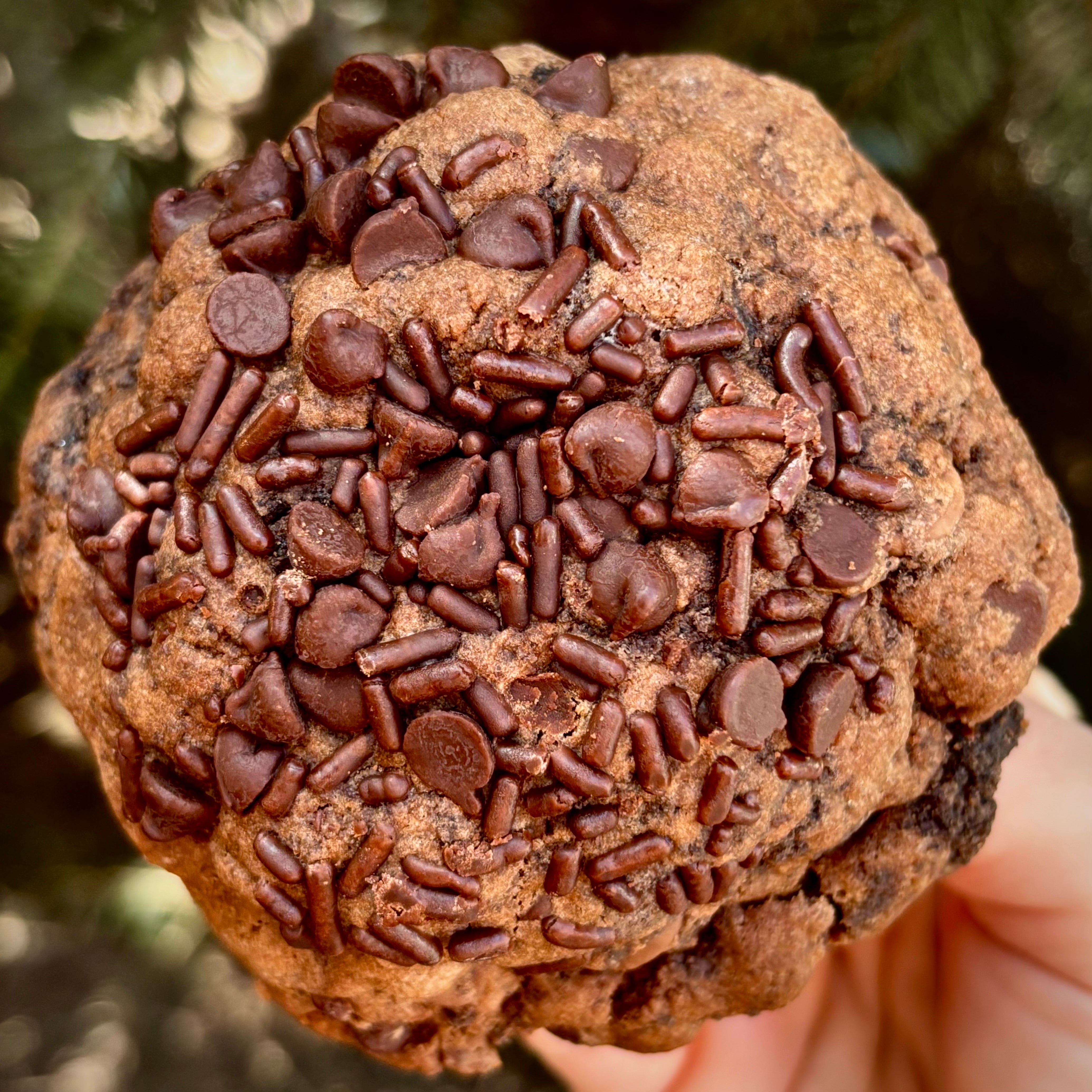 Chocolate Fudge Brownie