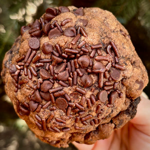Chocolate Fudge Brownie