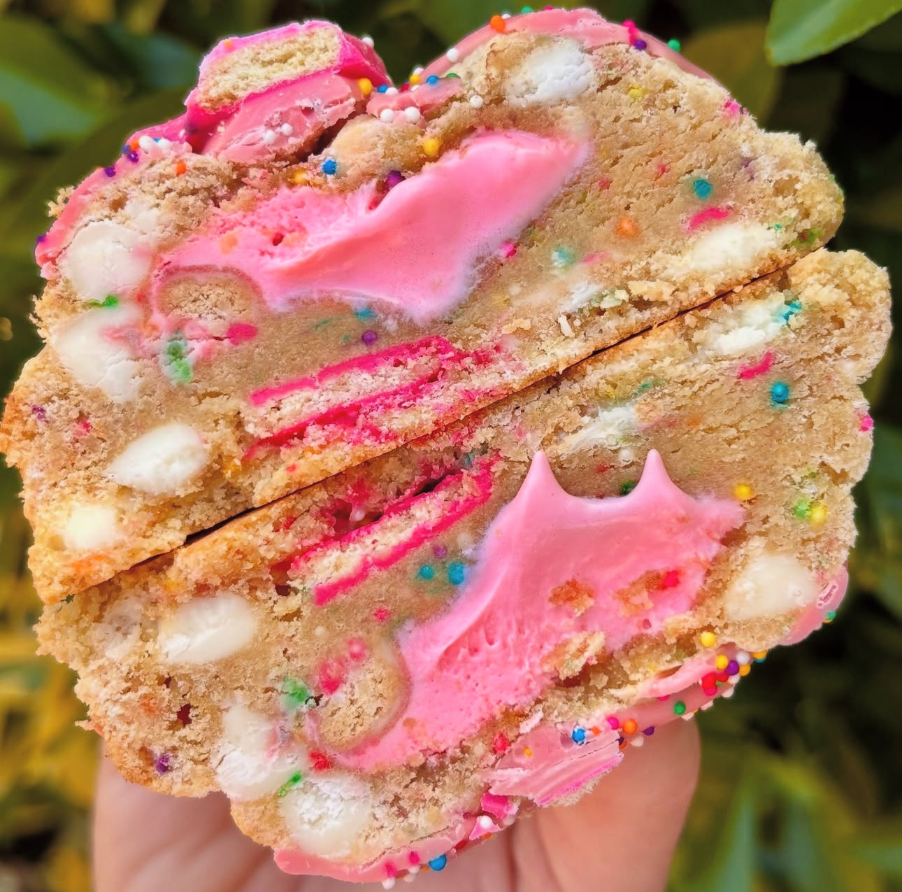 **BLACK FRIDAY ASSORTMENT**