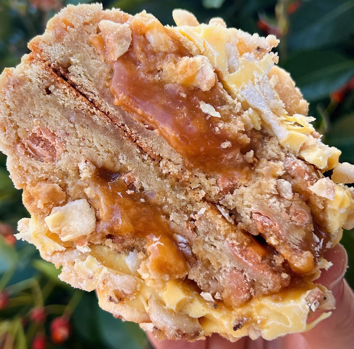 **BLACK FRIDAY ASSORTMENT**