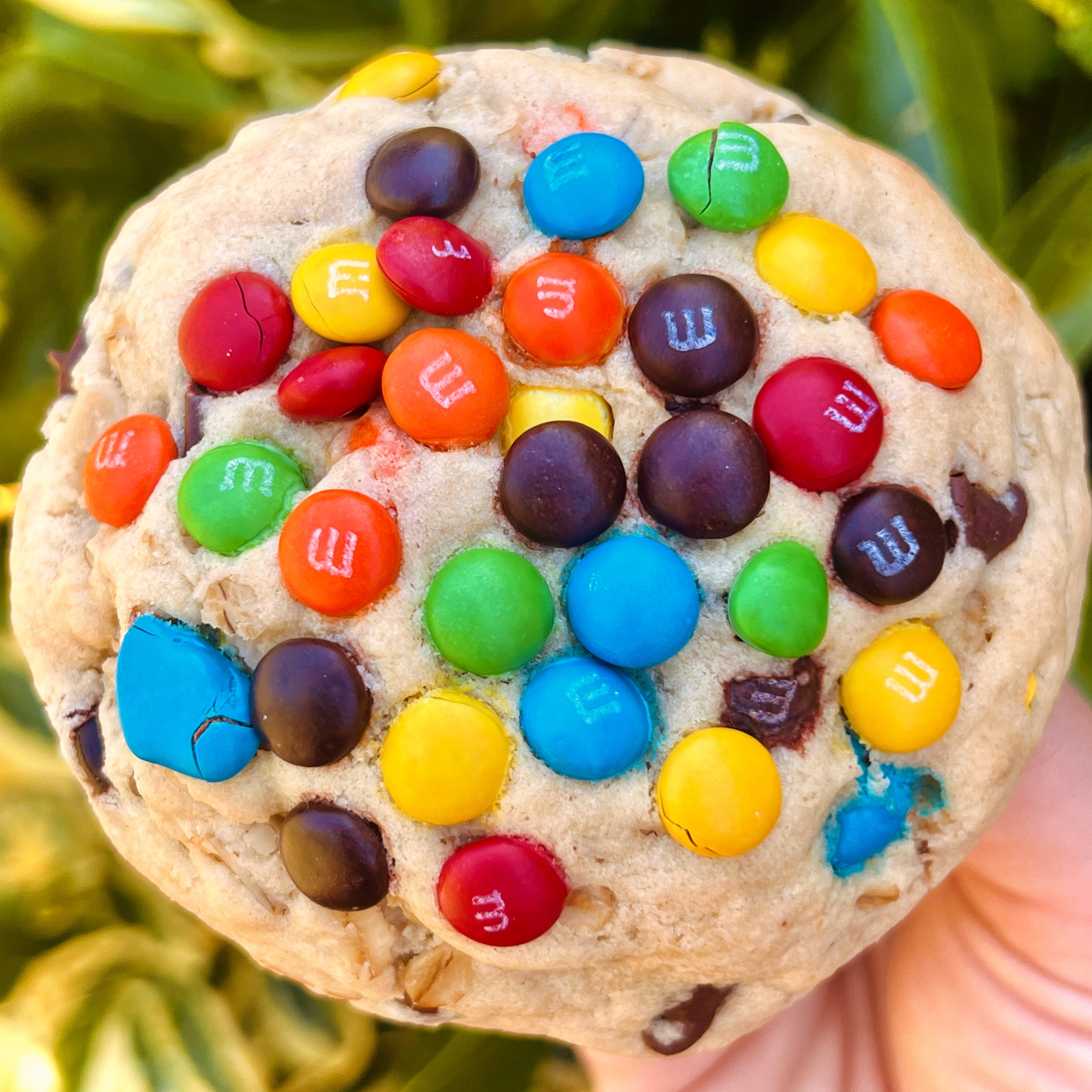 **BLACK FRIDAY ASSORTMENT**